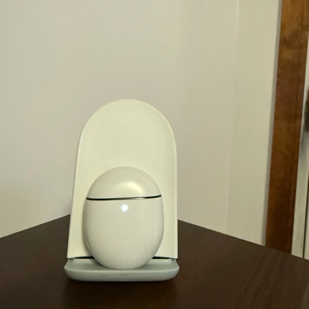 Lemongrass Google Pixel Earbuds and Charging Stand
